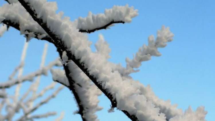 Uskoro nam stiže prava zima!