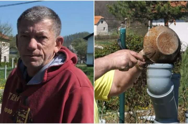 Sade jagode, povrće i cvijeće u buradima i cijevima