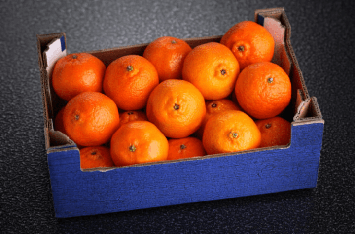 Sanitarna inspekcija zabranila uvoz mandarina iz Hrvatske: Naređeno njeno uništavanje na propisan način