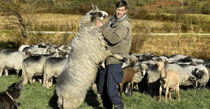 “Otac me molio da upišem fakultet a ja sam izabrao ovce i sada imam sve”