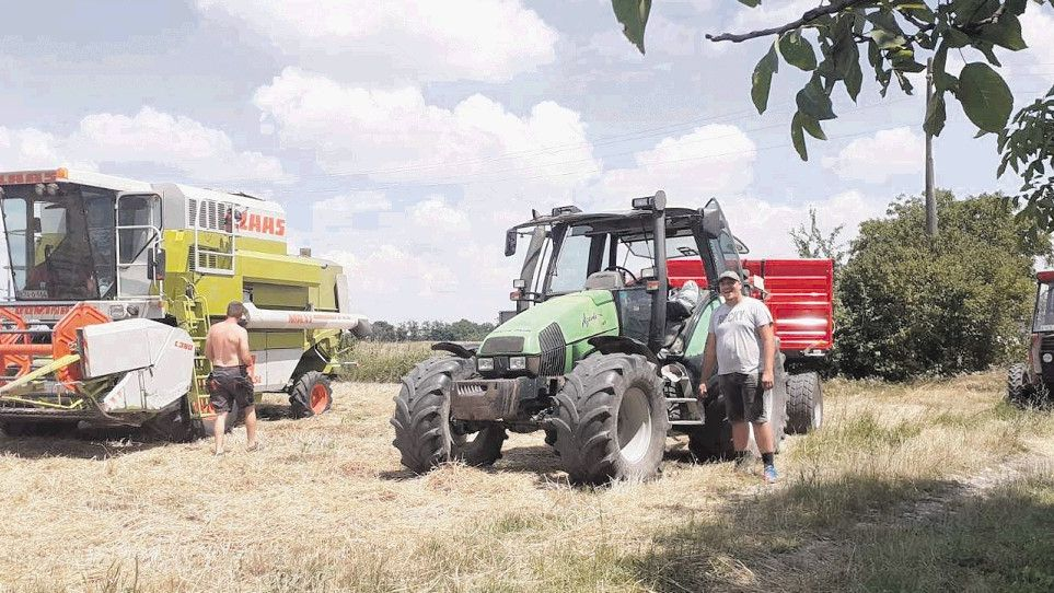 Mraz, kiša, pa tropske vreline: Suša neće donijeti štete, jer voća gotovo da i nema