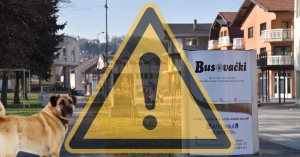 Općina Busovača: Hitne mjere zbog povećane pojave pasa bez nadzora u gradu!