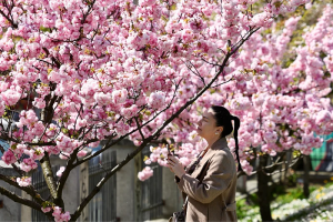 Narednih dana očekuje nas prljava kiša uz grmljavinu, ali temperature idu do 22 stepena