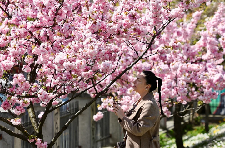 Narednih dana očekuje nas prljava kiša uz grmljavinu, ali temperature idu do 22 stepena