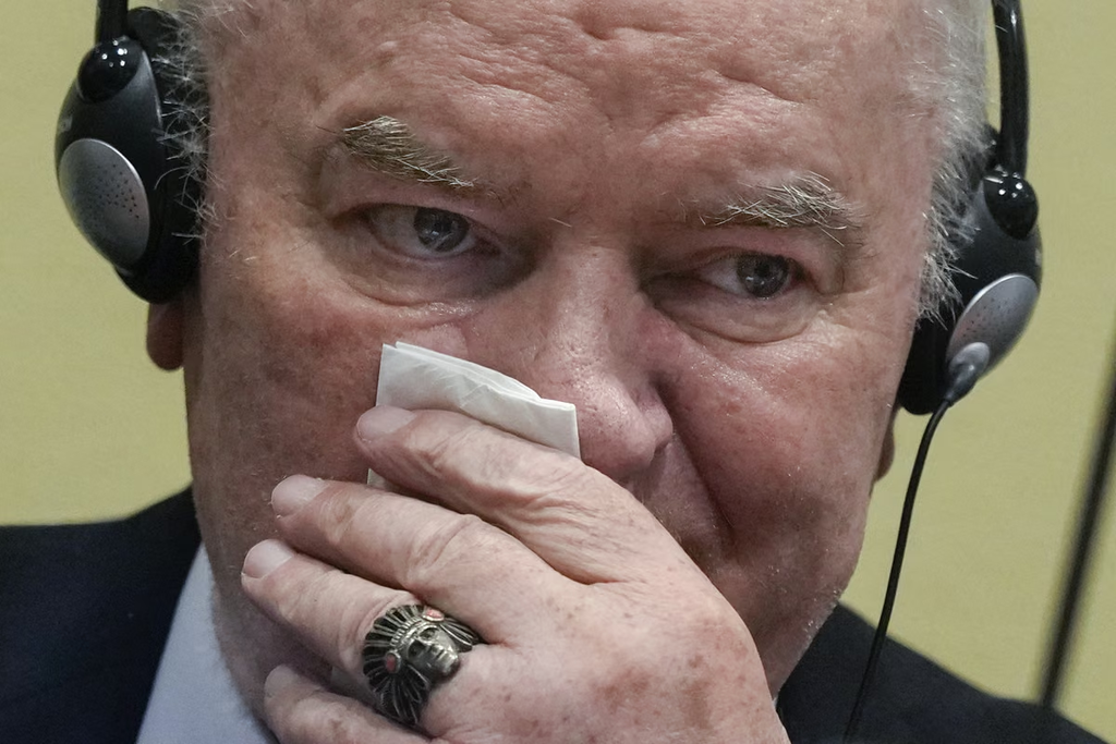 Politico: EU oštro osudila Srbiju zbog "Kasapina iz Bosne"