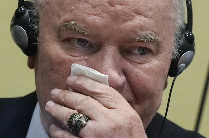 Politico: EU oštro osudila Srbiju zbog "Kasapina iz Bosne"